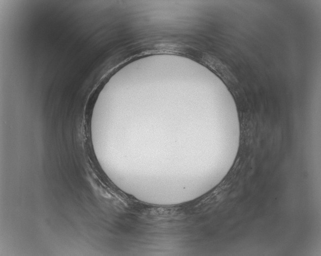 X0000071940338200608041533