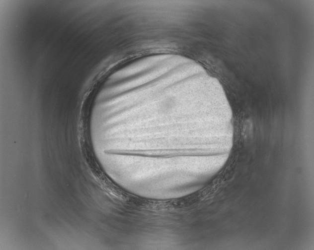 X0000071940339200608041533