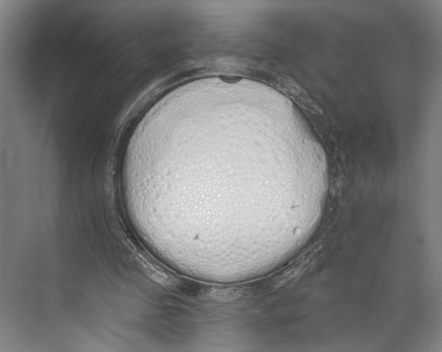 X0000071940341200608041533