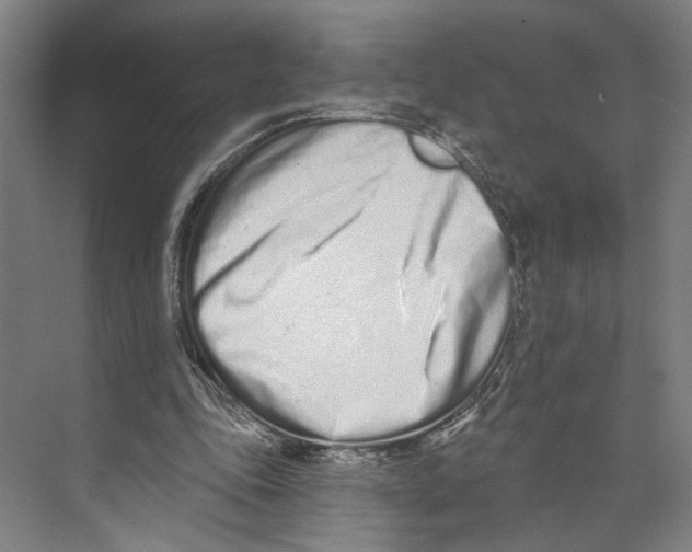 X0000071940343200608041533