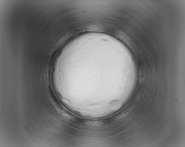 X0000071940349200608041533