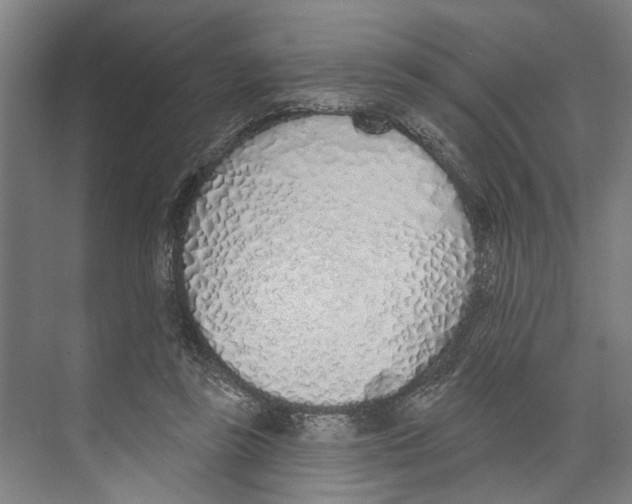 X0000071940355200608041533