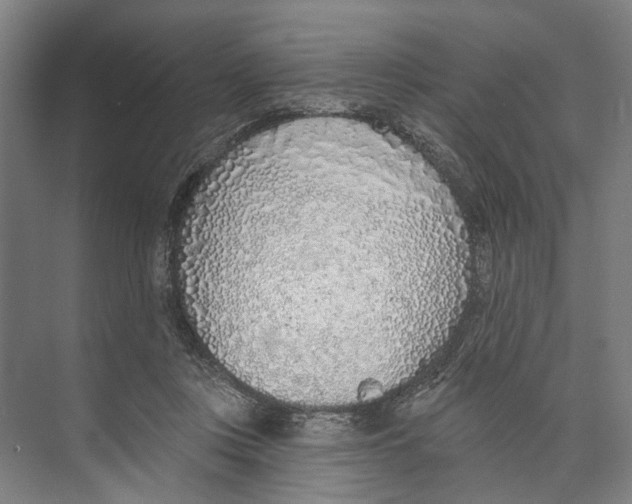 X0000071940359200608041533