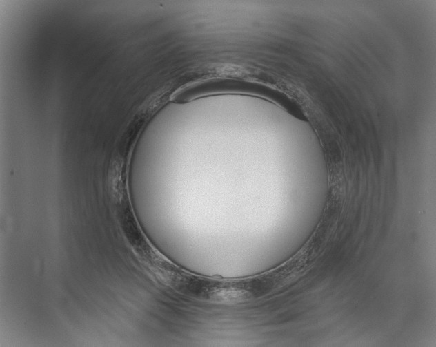 X0000071940360200608041533