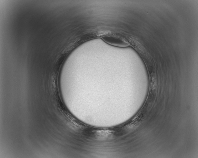 X0000071940363200608041533