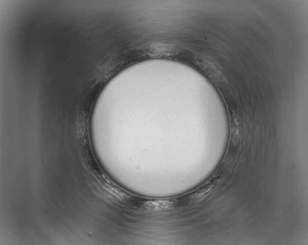 X0000071940367200608041533