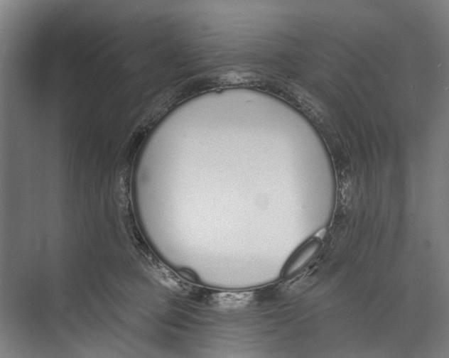 X0000071940373200608041533