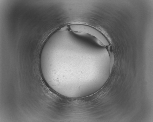 X0000071940385200608041533