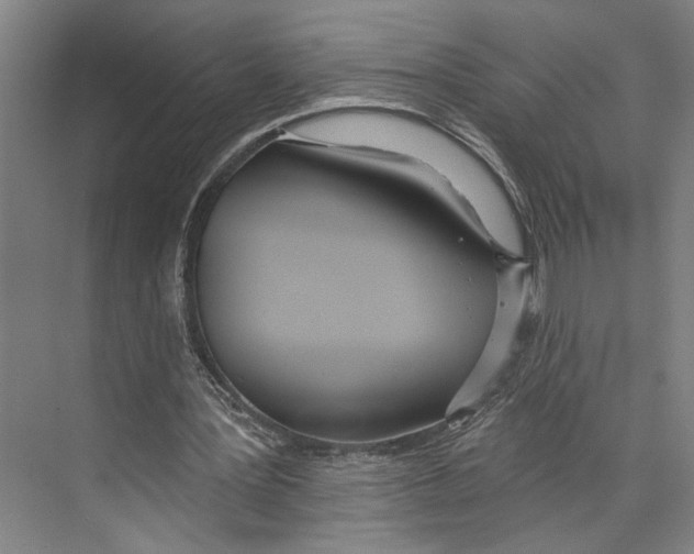 X0000071940387200608041533