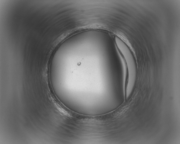 X0000071940389200608041533