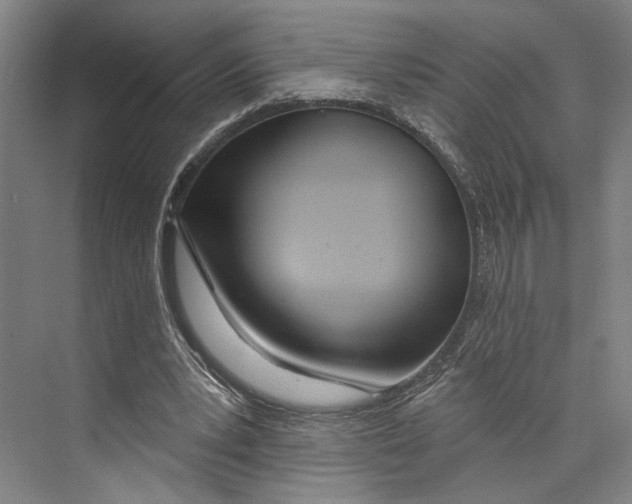 X0000071940391200608041532
