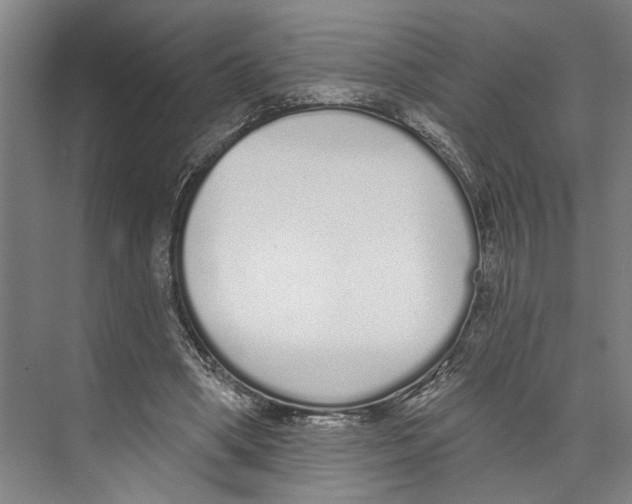 X0000071940394200608041532
