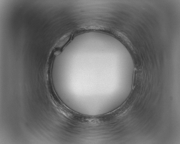 X0000071940395200608041532