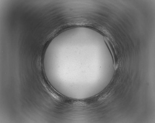 X0000071940397200608041532