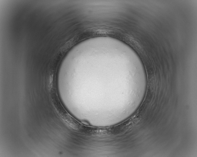 X0000071940406200608041532