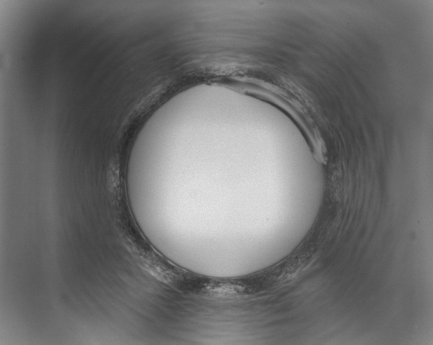 X0000071940407200608041532