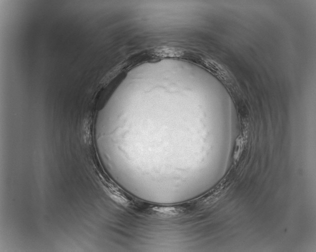X0000071940409200608041532