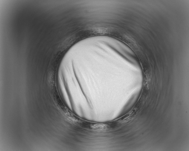 X0000071940410200608041532