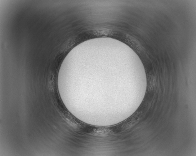 X0000071940414200608041532