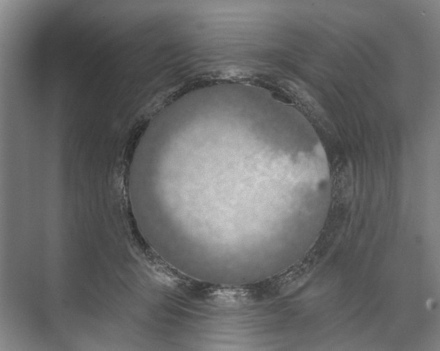 X0000071940415200608041532