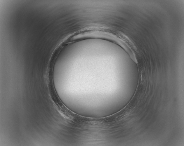 X0000071940436200608041531