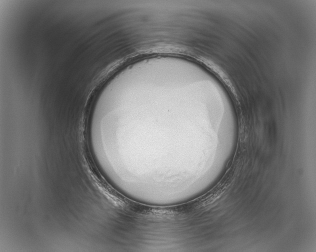 X0000071940437200608041531