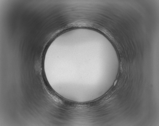 X0000071940438200608041531