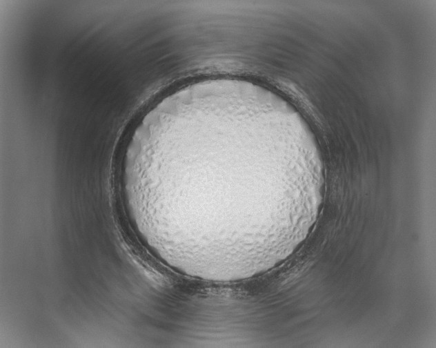 X0000071940439200608041531