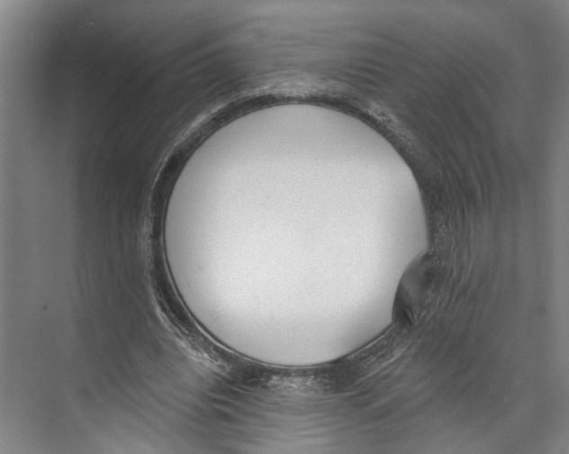 X0000071940440200608041531