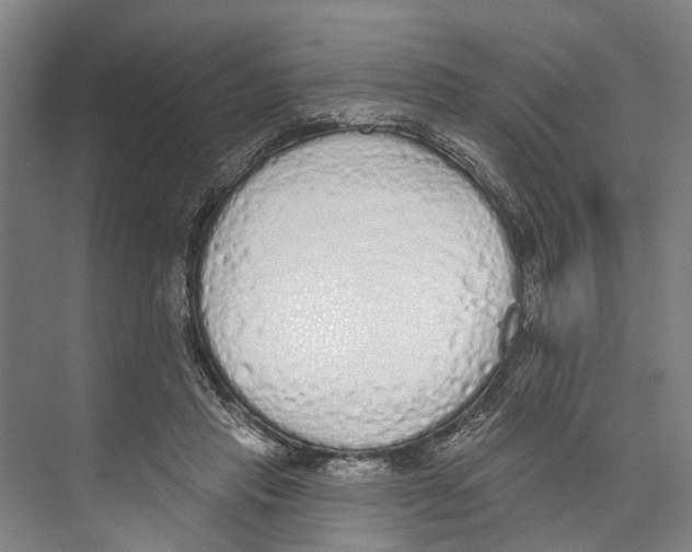X0000071940453200608041531