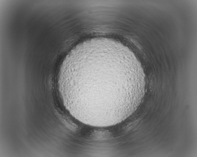 X0000071940455200608041531