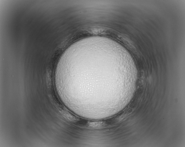 X0000071940461200608041531