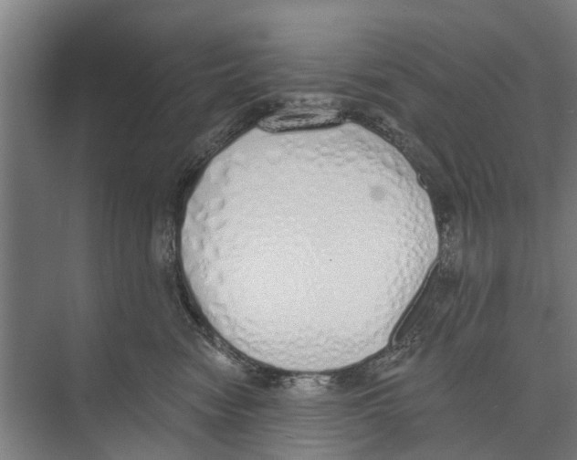 X0000071940474200608041532