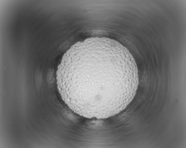 X0000071940478200608041532
