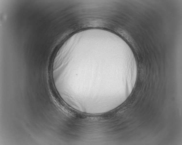 X0000071940482200608041531