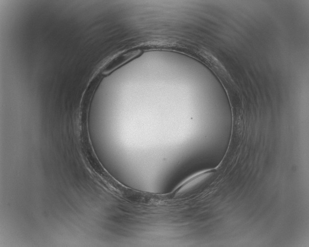 X0000071940484200608041531