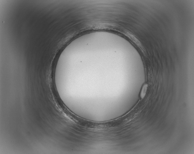 X0000071940485200608041531