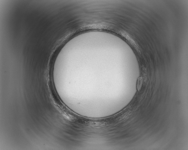 X0000071940486200608041531