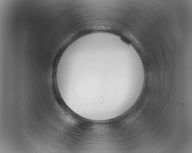 X0000071940490200608041531