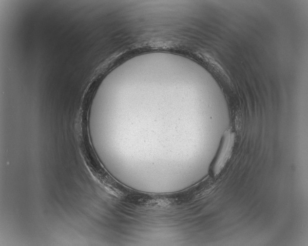 X0000071940492200608041531