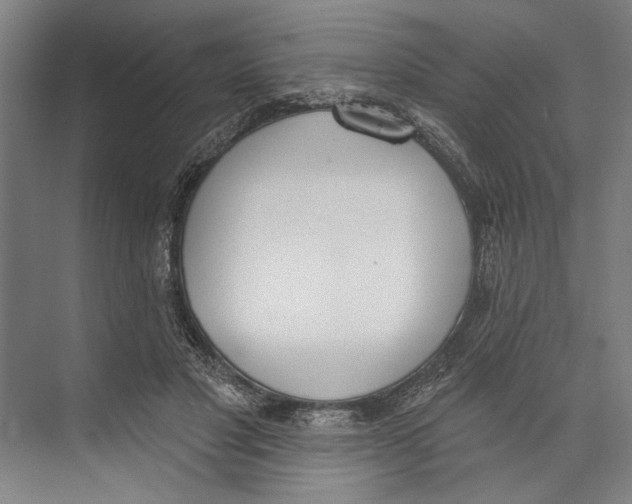 X0000071940501200608041531