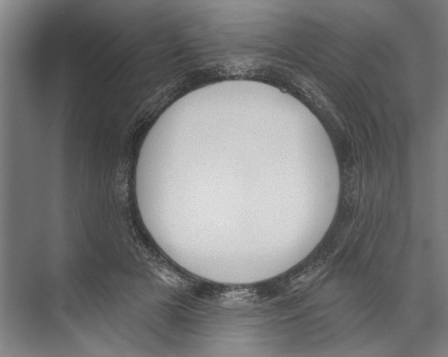 X0000071940505200608041531