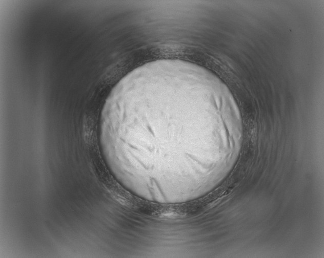 X0000071940507200608041530
