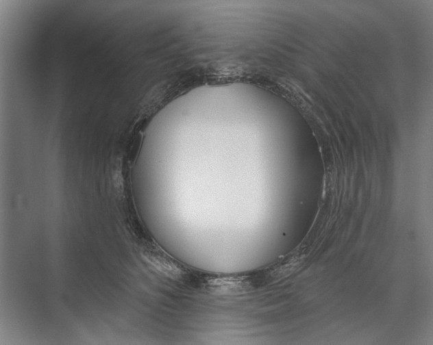 X0000071940516200608041530