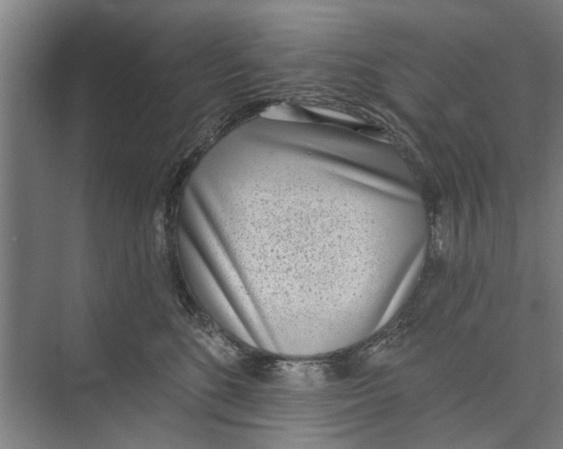 X0000071940520200608041530