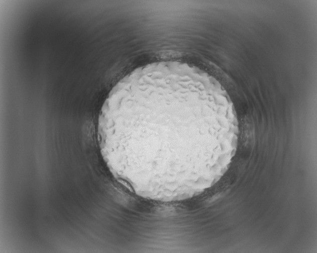 X0000071940523200608041530