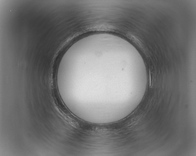 X0000071940531200608041529