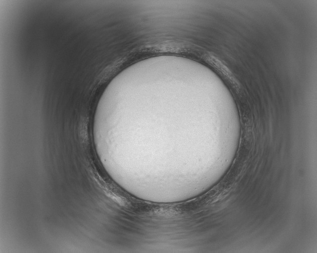 X0000071940537200608041529