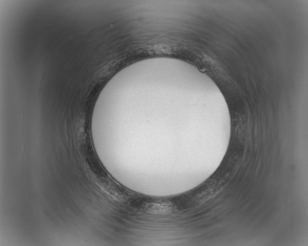 X0000071940548200608041530