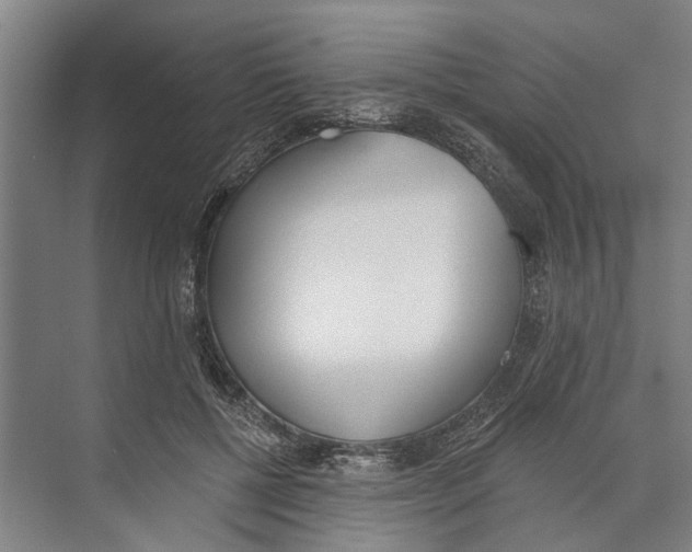 X0000071940552200608041530